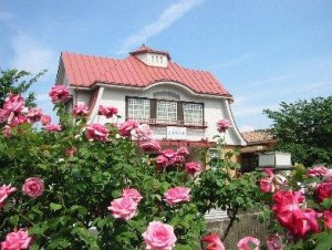 駅はあえて可愛く、こじんまりとしていて、周りにはバラが・・・（笑）